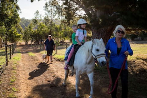 Misty Valley Country Cottages - Hervey Bay Accommodation 0