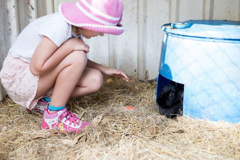 Misty Valley Country Cottages - Hervey Bay Accommodation 7
