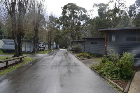 Lorne Foreshore Caravan Park - Hervey Bay Accommodation 5