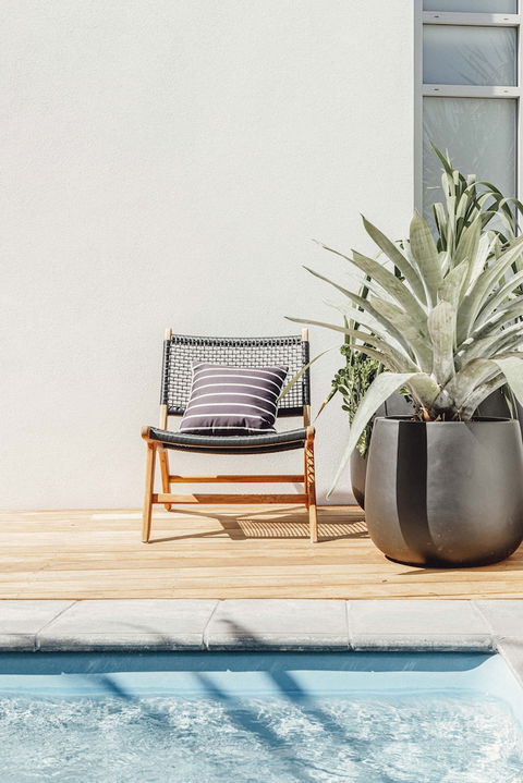 Alamode - Tourism Hervey Bay 4