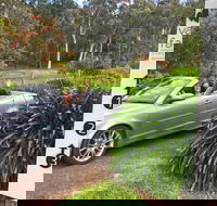 Valley Farm Vineyard Cottages - Tourism Hervey Bay