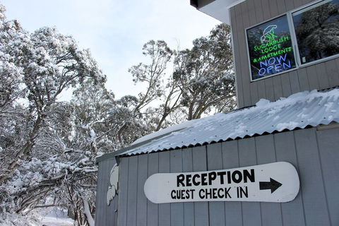 Sugarbush Lodge & Apartments - Hervey Bay Accommodation 0