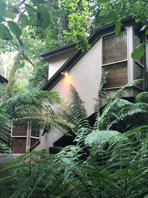 Linden Gardens Rainforest Retreat - Hervey Bay Accommodation 2