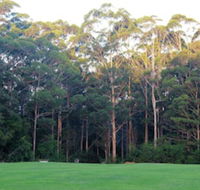 Tinglewood Cabins - Tourism Hervey Bay