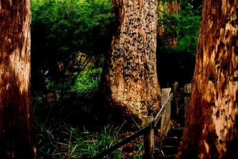 Billa Billa Farm Cottages - Tourism Hervey Bay 2