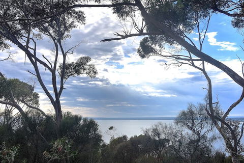 Wanderers Rest Of Kangaroo Island - Tourism Hervey Bay 7