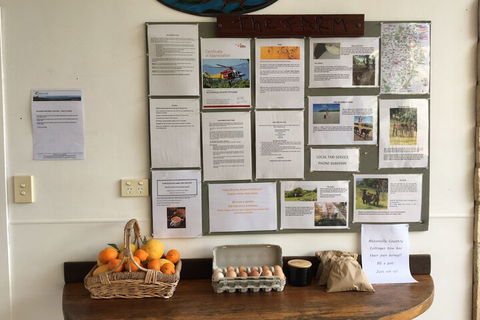 Alstonville Country Cottages - Tourism Hervey Bay 5