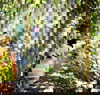 Cashelmara Beachfront Apartments - Tourism Hervey Bay