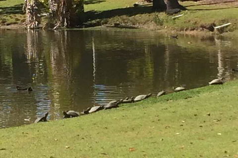 Sanctuary Lakes Fauna Retreat - Tourism Hervey Bay 1