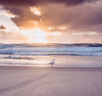 Blue Waters Motel - Hervey Bay Accommodation