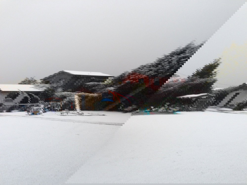 Promised Land TAS Hervey Bay Accommodation