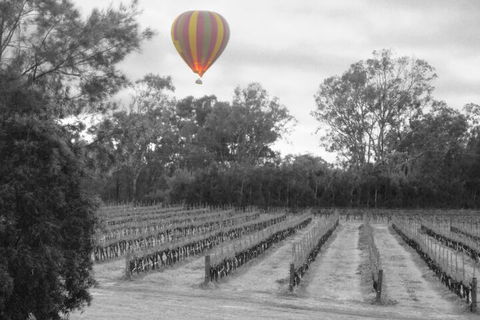 Adina Vineyard - Hervey Bay Accommodation 5