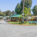 Mandurah Caravan & Tourist Park - Hervey Bay Accommodation 1