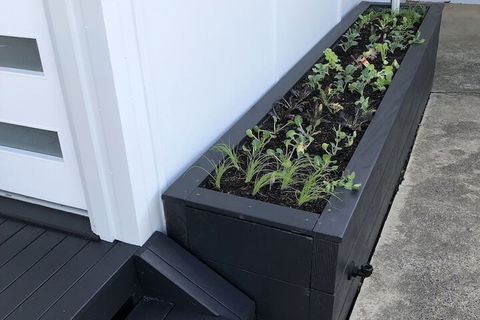 Augusta Escape Holiday Units - Tourism Hervey Bay 5