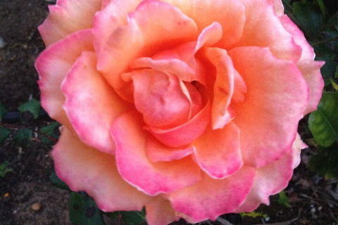 Augusta Escape Holiday Units - Tourism Hervey Bay 1