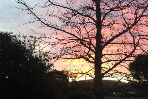 Idlewilde Town & Country Motor Inn - Tourism Hervey Bay 1