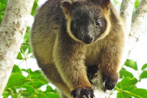 Mt Quincan Crater Retreat - Hervey Bay Accommodation 2