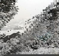 Alpenhorn - Hervey Bay Accommodation