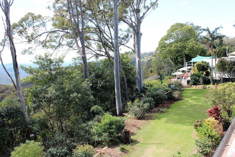 Mt Tamborine Motel - Tourism Hervey Bay 5