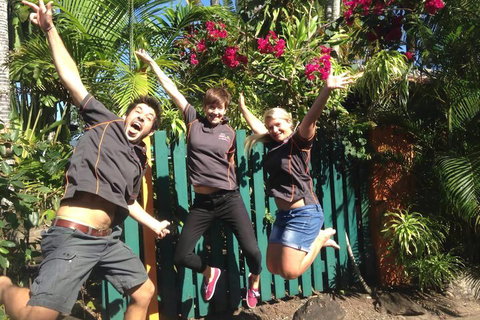 JJs Backpackers Hostel - Tourism Hervey Bay 6
