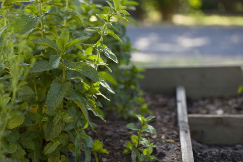 Grampians Eco YHA - Hostel - Tourism Hervey Bay 0