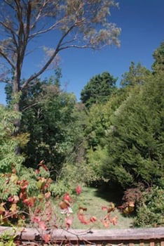 Leura Lady - Tourism Hervey Bay 3