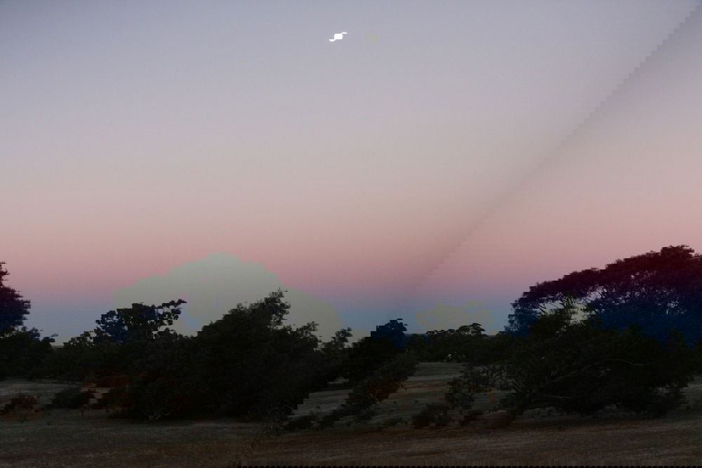 Pomonal VIC Tourism Hervey Bay