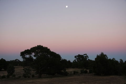 Boroka Downs - Hervey Bay Accommodation 0