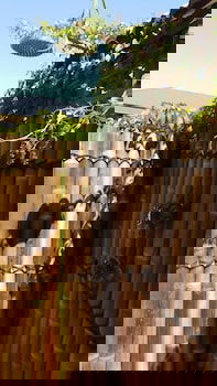 Anchorage Guest House - Tourism Hervey Bay 4