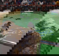 Anchorage Guest House - Hervey Bay Accommodation