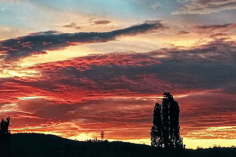 Sovereign Inn Cooma - Tourism Hervey Bay 3