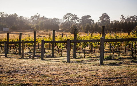 Port Campbell Parkview Motel & Apartments - Hervey Bay Accommodation 3