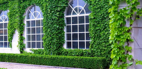 Milton Park Country House Hotel & Spa - Hervey Bay Accommodation 0