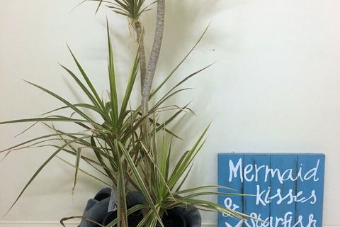 Al Mare Beachfront Retreat - Tourism Hervey Bay 2