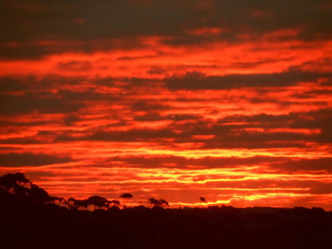 Tennessee Hill Chalets - Hervey Bay Accommodation 0