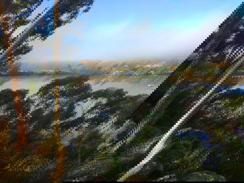 Lower Portland NSW Hervey Bay Accommodation