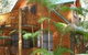 Springbrook Mountain Chalets - thumb 0