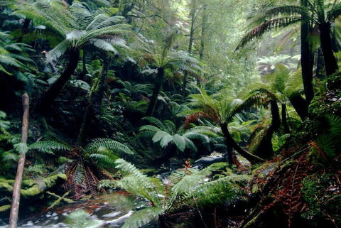 Corinna Wilderness Experience - Tourism Hervey Bay 2