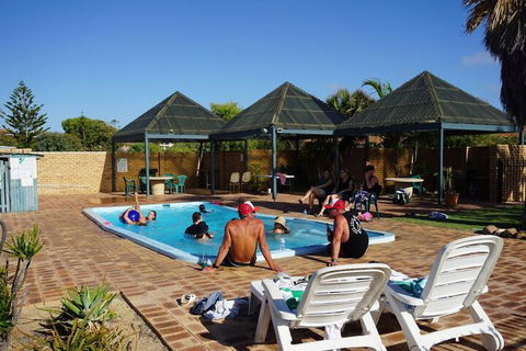 The African Reef - Tourism Hervey Bay 4