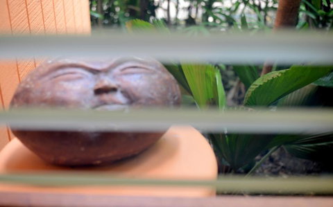 Sejala Beach Huts - Hervey Bay Accommodation 6