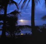 Sejala Beach Huts - Hervey Bay Accommodation