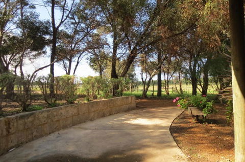 Bentwood Olive Grove Accommodation - Tourism Hervey Bay 3