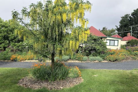 Hamlet Downs Country Accommodation - Tourism Hervey Bay 0