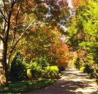Chalets Lumineux - Hervey Bay Accommodation
