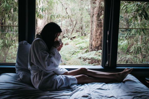 Woodlands Rainforest Retreat - Tourism Hervey Bay 5