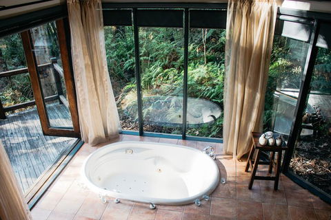 Woodlands Rainforest Retreat - Tourism Hervey Bay 7