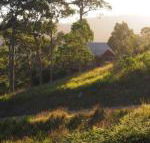 Bundle Hill Cottages - Hervey Bay Accommodation