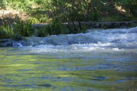 Havans Ecotourist Retreat - Tourism Hervey Bay 2