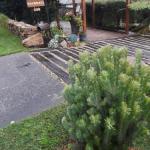 Rockwall Avoca Beach - Tourism Hervey Bay 0