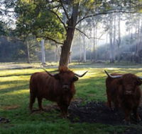 Dingley Dell - Hervey Bay Accommodation